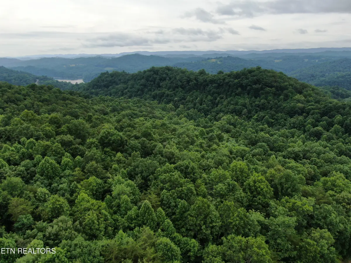 171 Bluff View Rd, New Tazewell, TN 37825 - #1