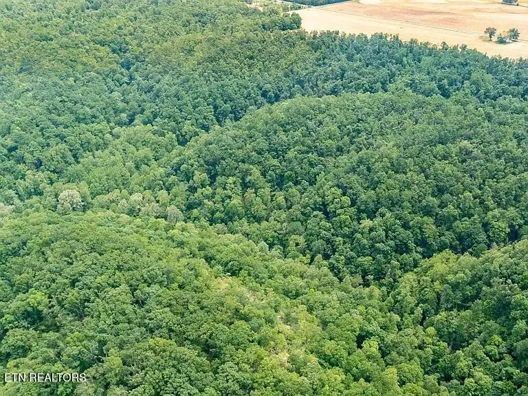 0 K Parker Rd, Woodbury, TN 37190 - #2