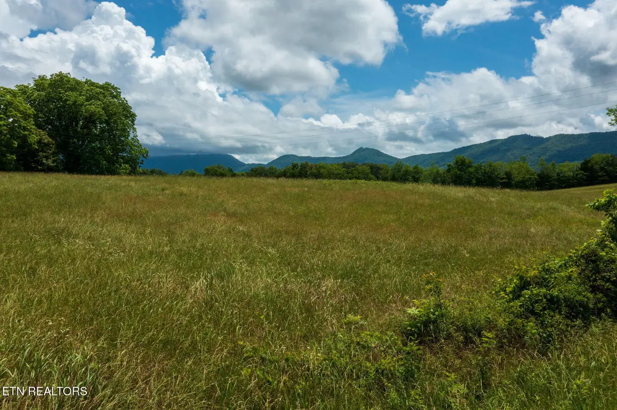 3506 Thomas Cross Rd, Sevierville, TN 37876 - #1