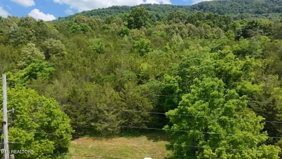 00 Mulberry Gap Rd Rd, Sneedville, TN 37869 - #2