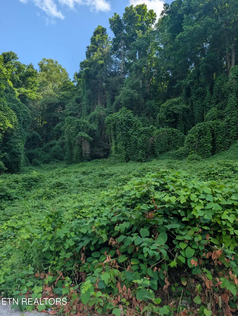 1577 Beans Fork Rd, Middlesboro, KY 40965 - #2