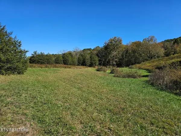 Shoreline Vista, Sharps Chapel, TN 37866