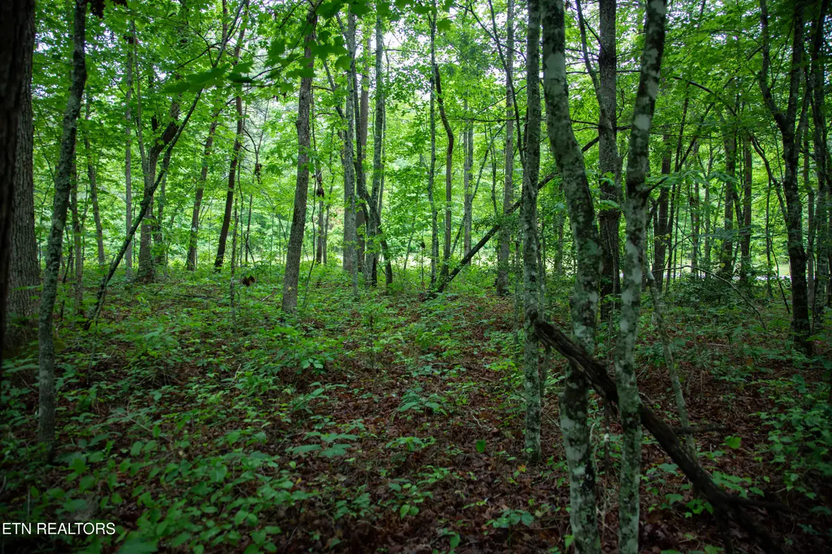 0 Lot 6 Cumberland Lakes Drive, Monterey, TN 38574 - #1