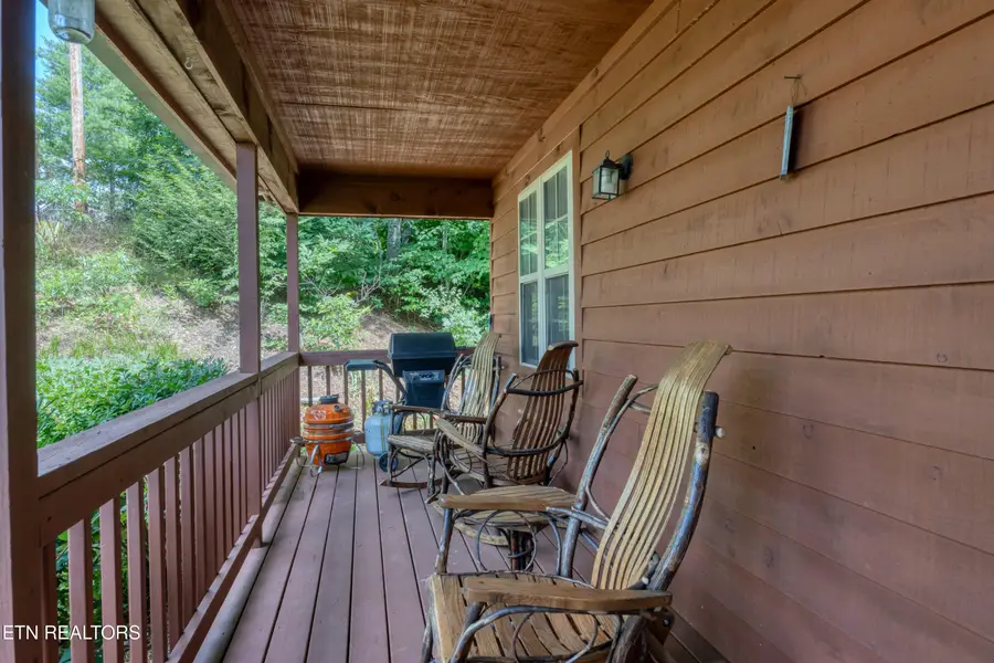 233 Ace Gap Rd, Townsend, TN 37882 - #3