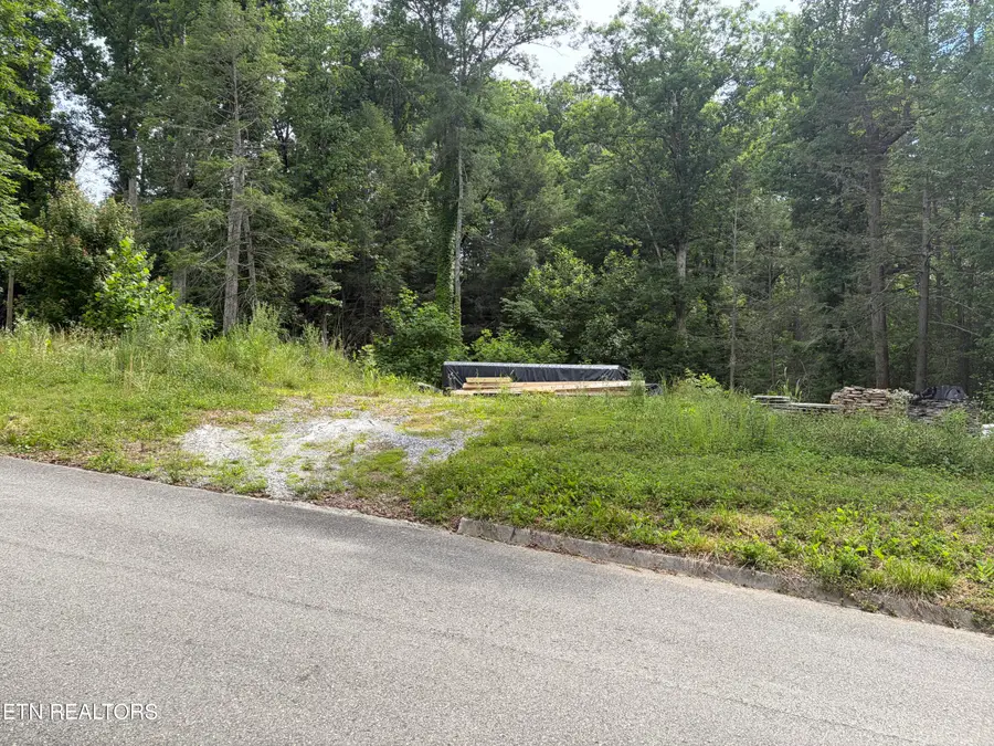 2708 Dayne Drive, Sevierville, TN 37876 - #2