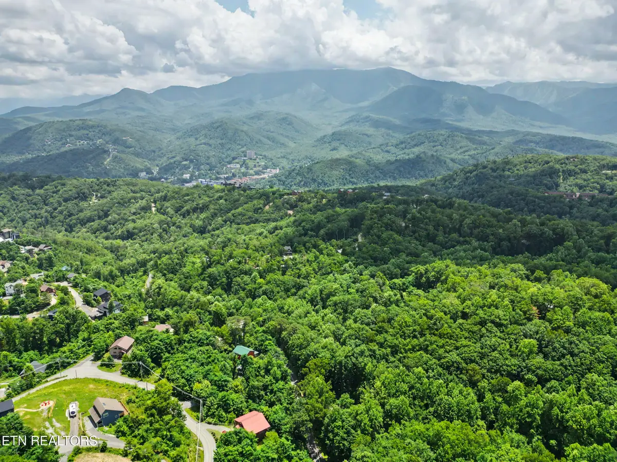 Twin Oaks Rd #39, Gatlinburg, TN 37738 - #1