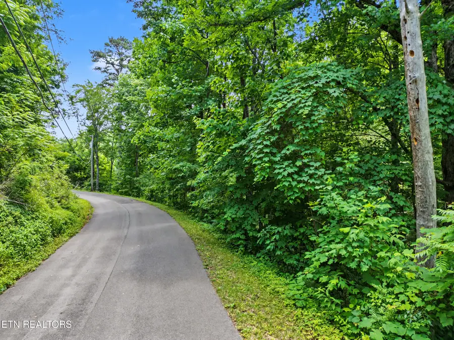 Twin Oaks Rd #39, Gatlinburg, TN 37738 - #2