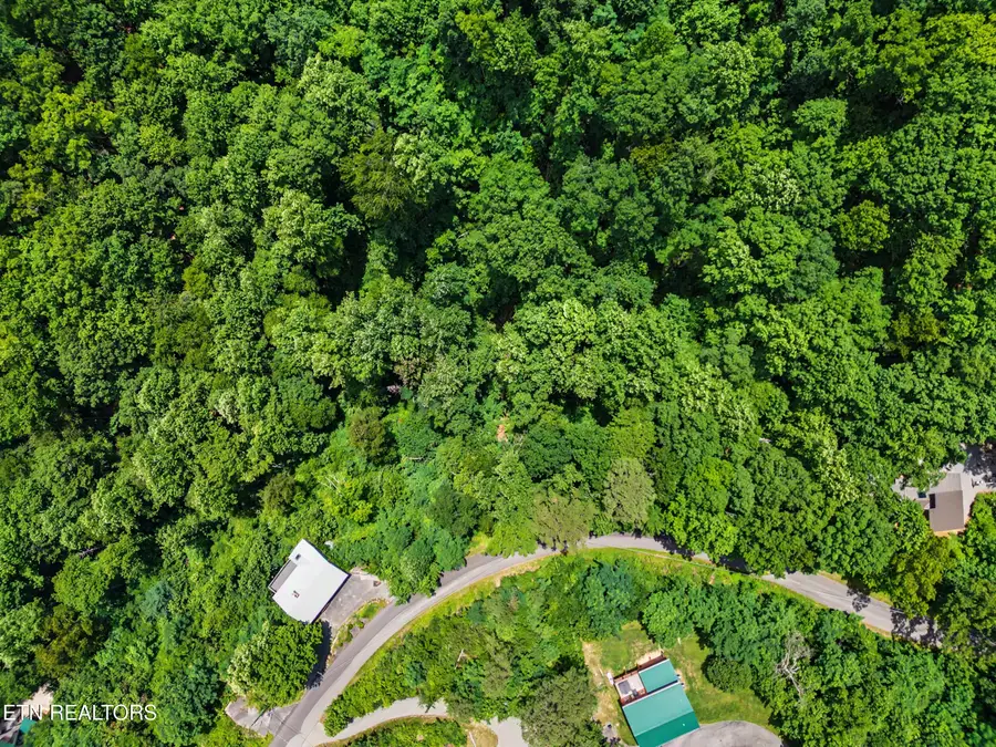 Twin Oaks Rd #39, Gatlinburg, TN 37738 - #3