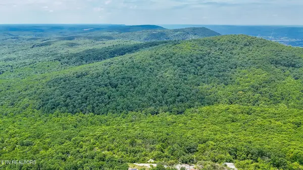 1407 Holloway Ridge Rd, Spring City, TN 37381
