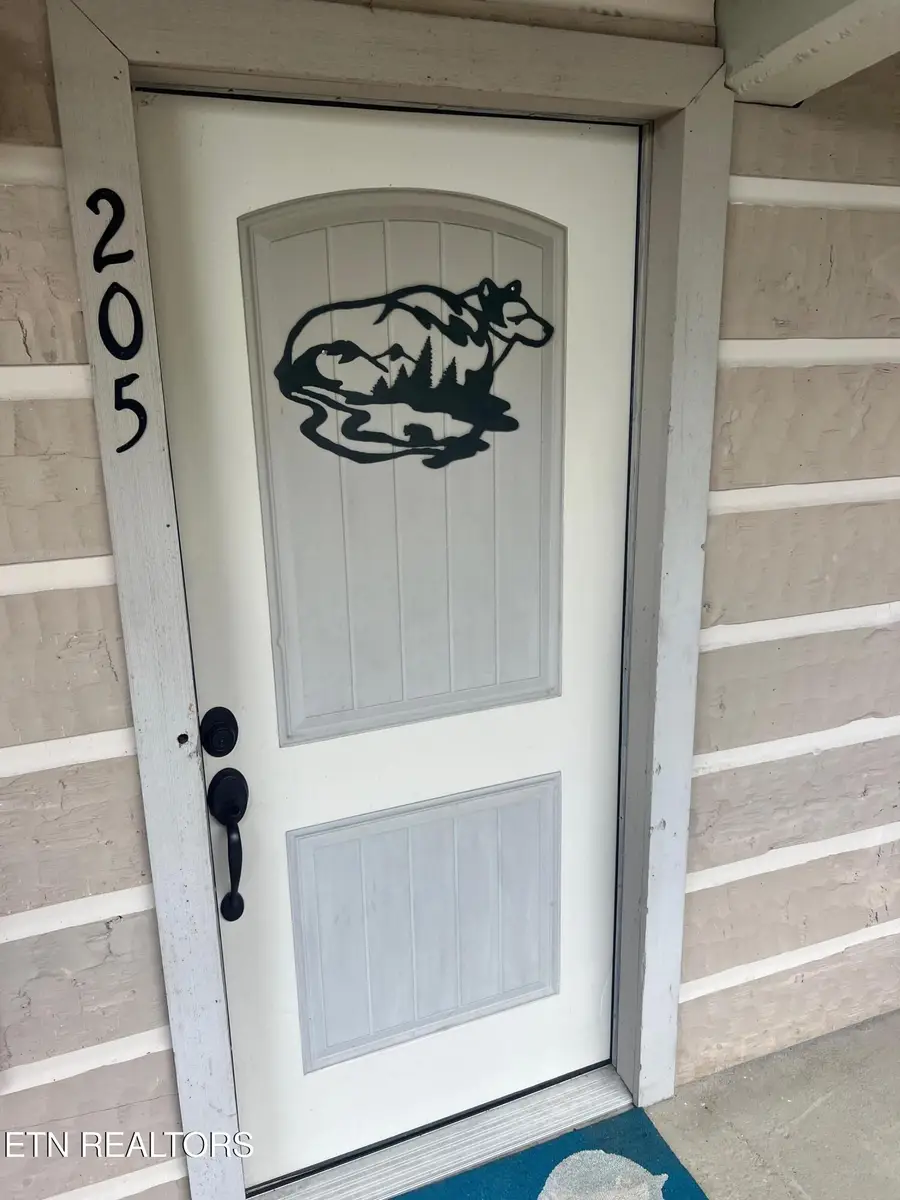 7239 E Lamar Alex Pkwy #205, Townsend, TN 37882 - #2