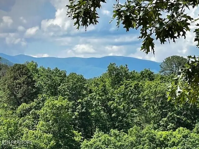 3328 Sugar Maple Loop Rd, Sevierville, TN 37862 - #3