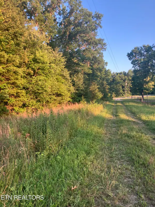 Lot 10 Holly Drive, Pikeville, TN 37367