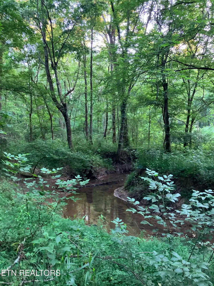 Lot 10 Holly Drive, Pikeville, TN 37367 - #3