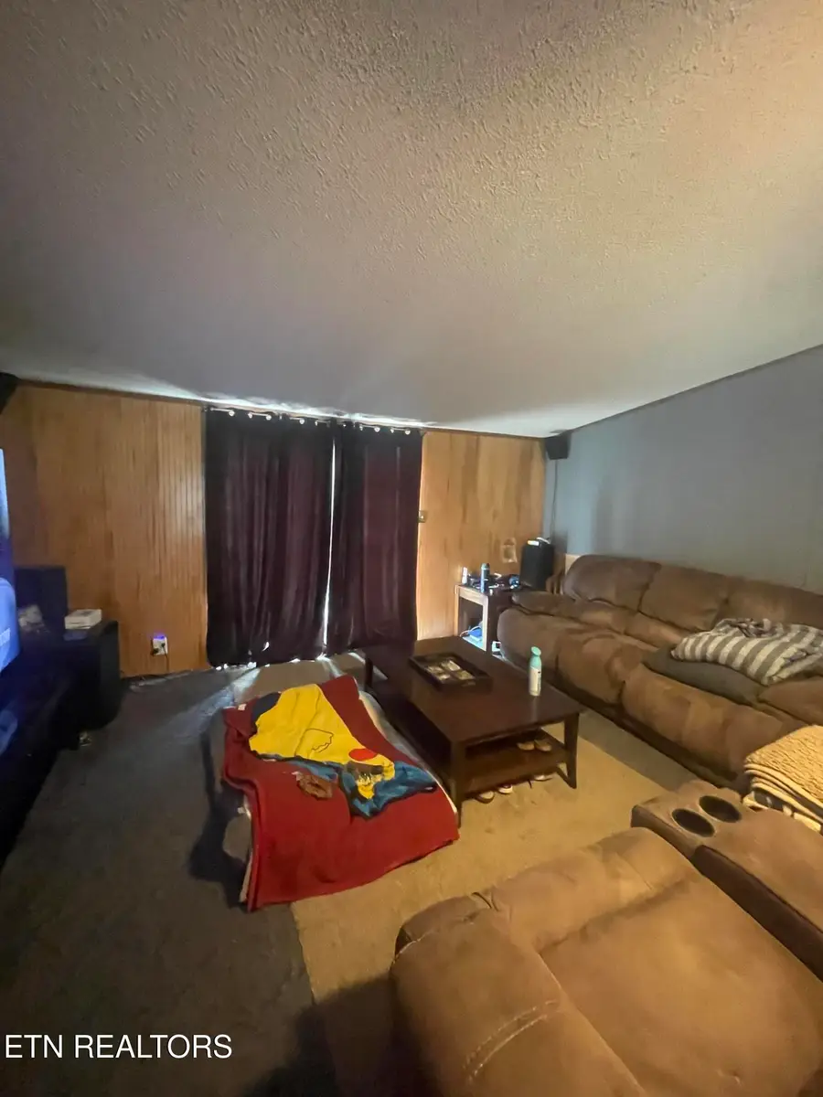 10320 Patsy Cline Way, Strawberry Plains, TN 37871 - #3