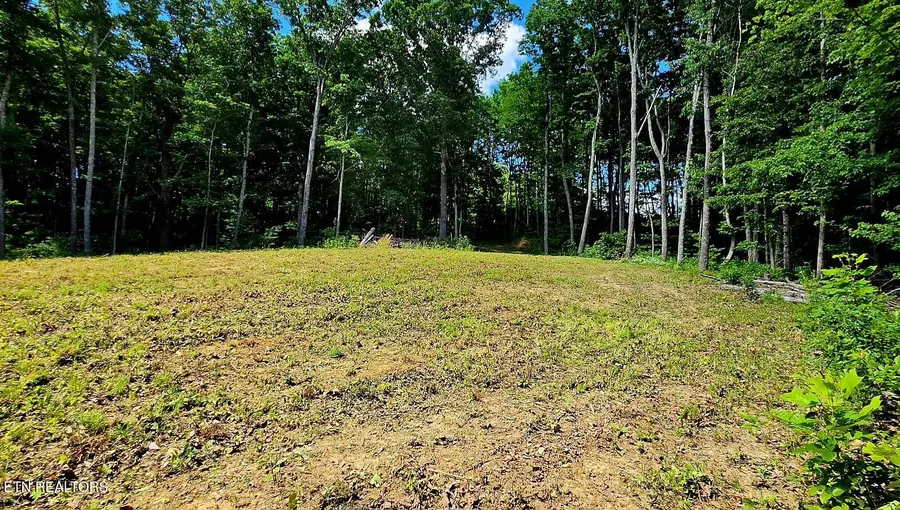 183 Persimmon Lane, Pioneer, TN 37847 - #3