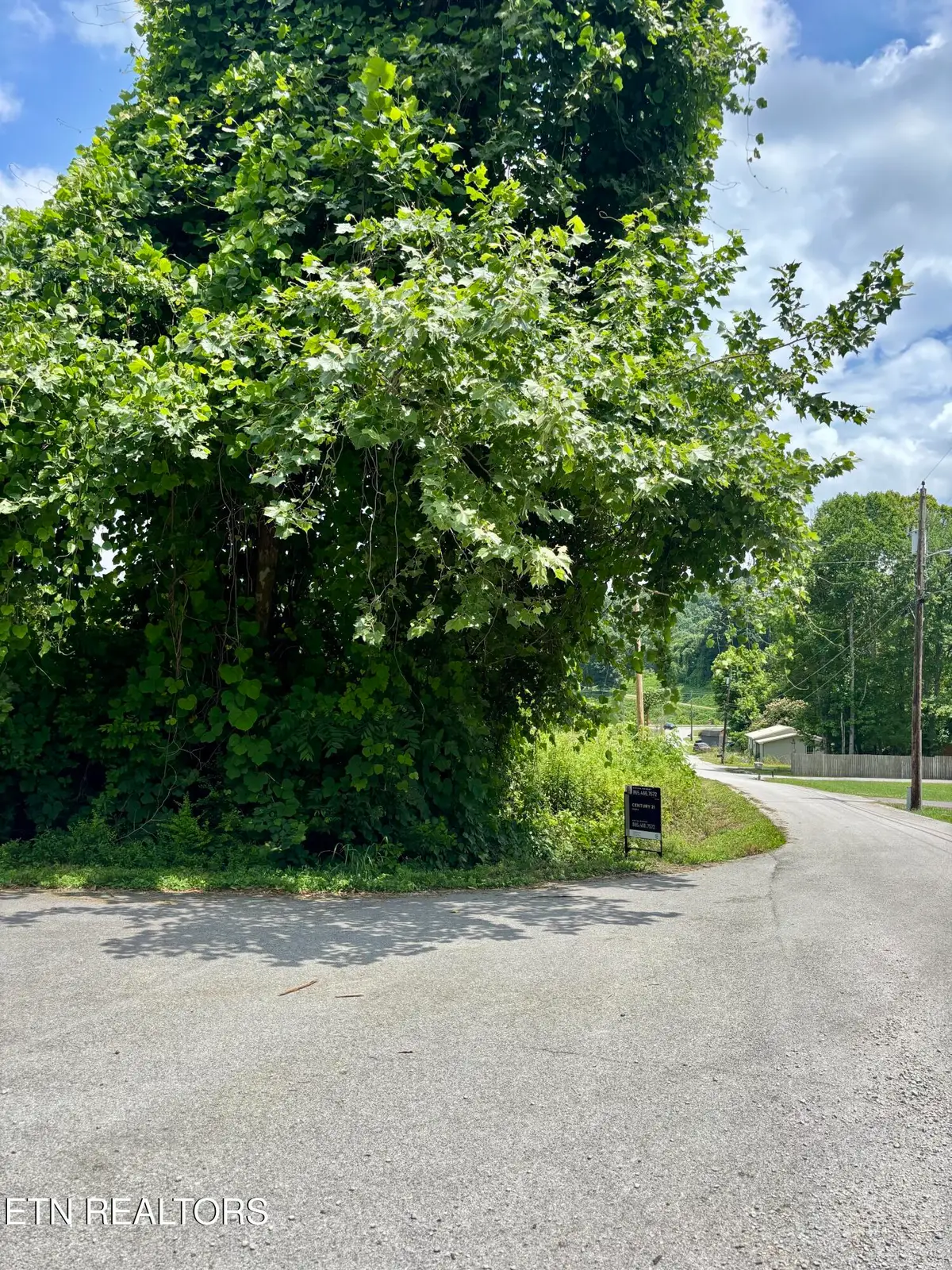 0 Davis Hollow Rd, Harriman, TN 37748 - #1