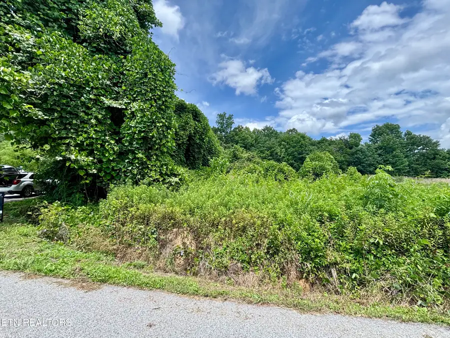 0 Davis Hollow Rd, Harriman, TN 37748 - #3