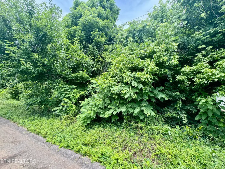 1018 Cedarwood St, Knoxville, TN 37914 - #3