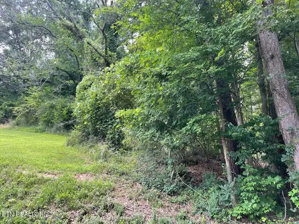 64 Riddle St, Dayton, TN 37321