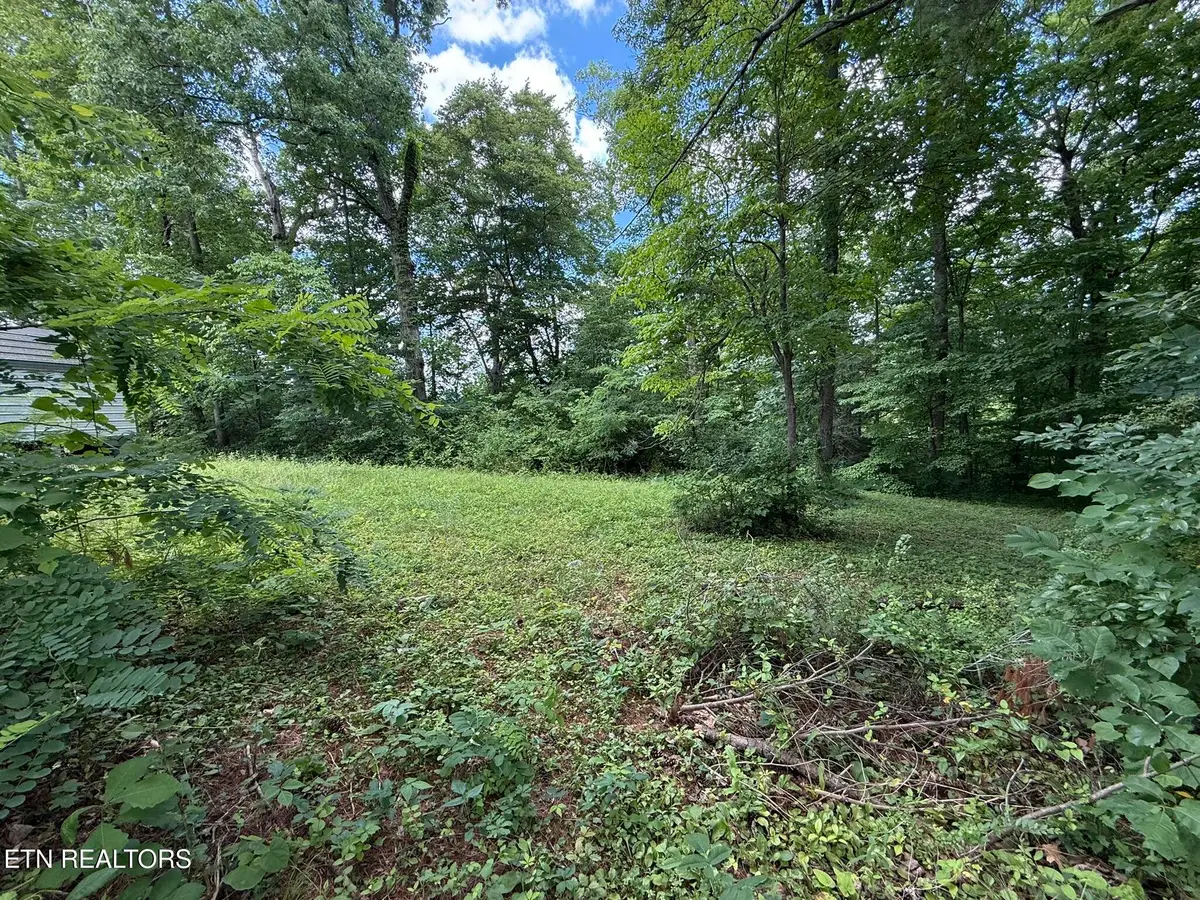 Shoreline Circle, Lafollette, TN 37766 - #1