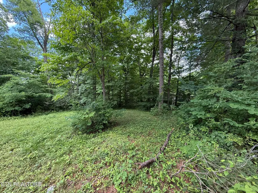 Shoreline Circle, Lafollette, TN 37766 - #3
