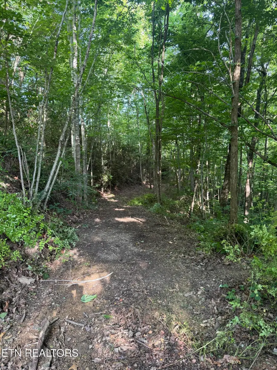 TBD Wallens Ridge Rd, Big Stone Gap, VA 24219 - #3