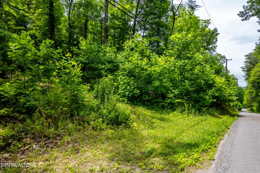 2353 Dave Smith Rd, Kodak, TN 37764 - #3