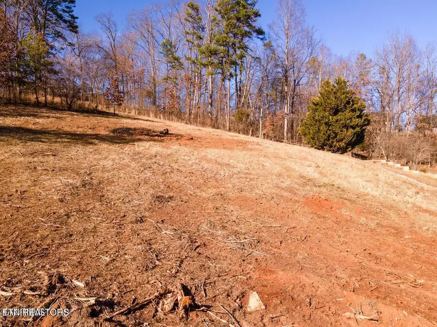 Lot 34 Pioneer Drive, Seymour, TN 37865 - #3