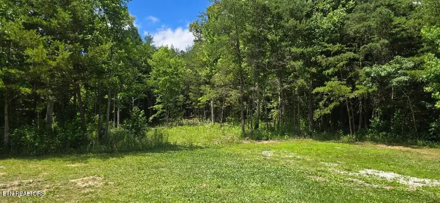 425 Anderson Hollow Rd, Huntsville, TN 37756 - #2