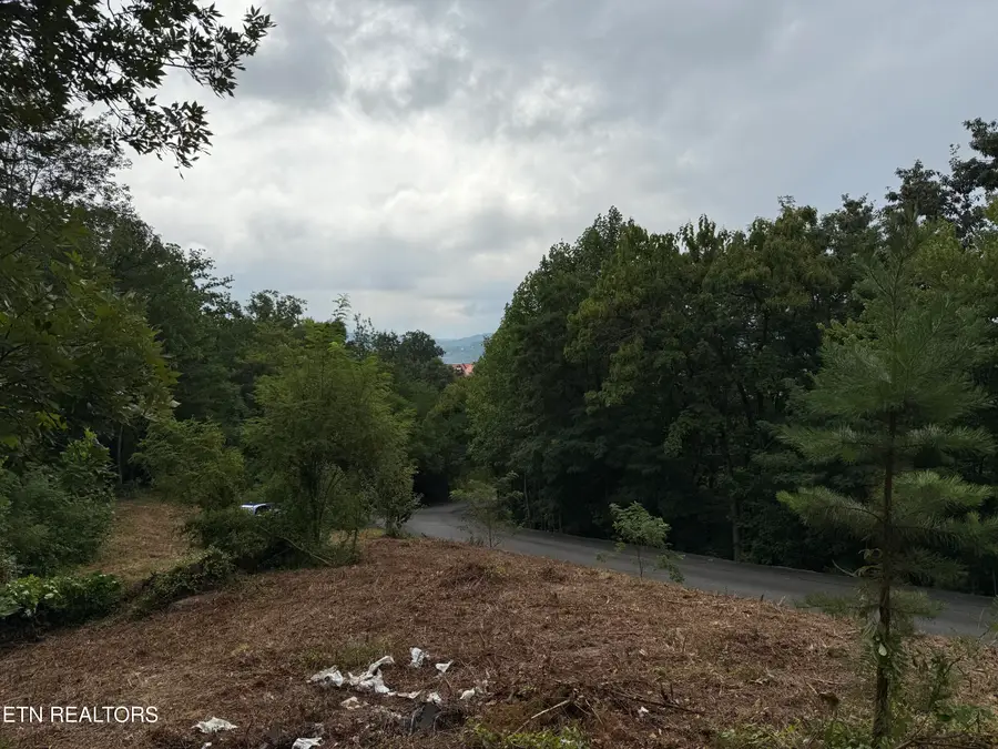 Lot 108 Smoky Vista Way, Sevierville, TN 37876 - #3