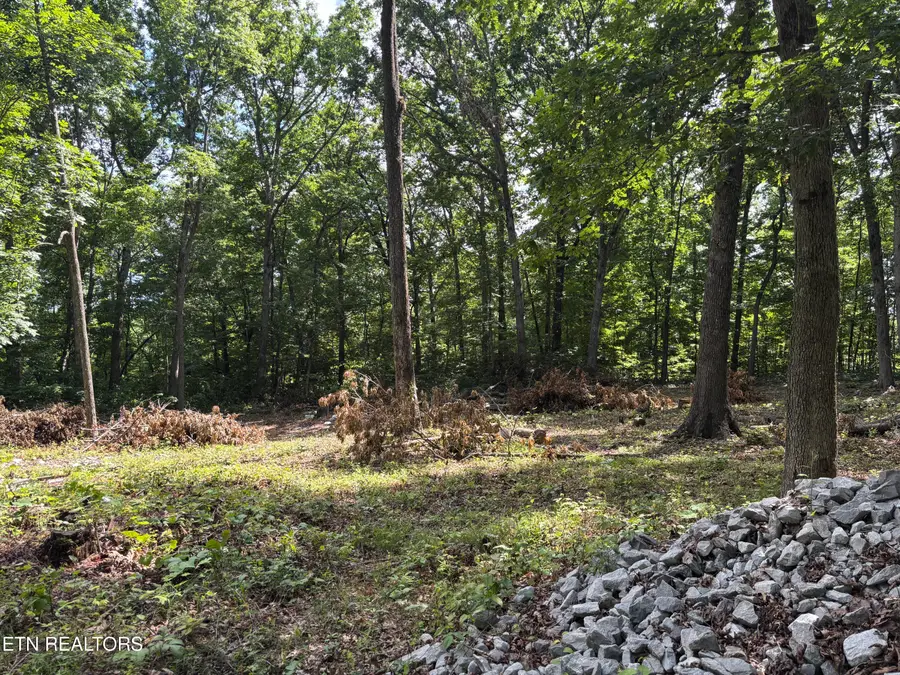 272 Morgan Circle, Crossville, TN 38572 - #3