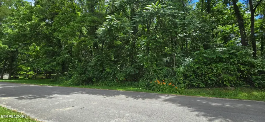 Shady Lane, Oneida, TN 37841 - #2