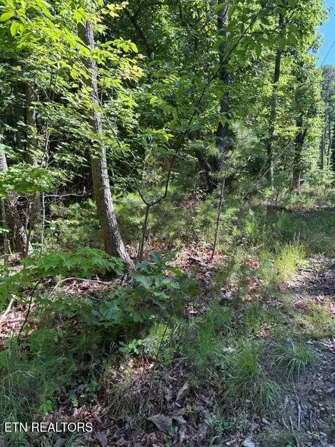 Lot 3 Old Furnace Rd, Tellico Plains, TN 37385 - #2
