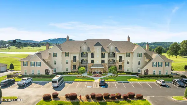 545 Rarity Bay Pkwy #305, Vonore, TN 37885