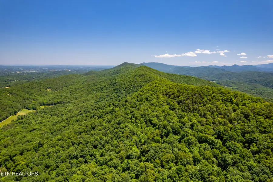 Butterfly Gap Rd, Maryville, TN 37803 - #3
