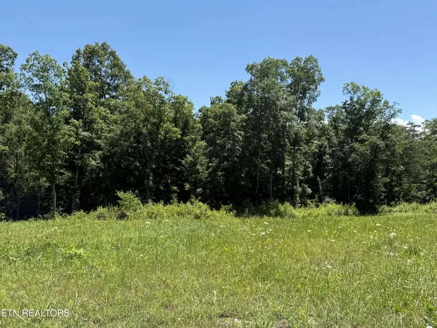 Riverview Drive - Lot 1 & 2, Crossville, TN 38555 - #3