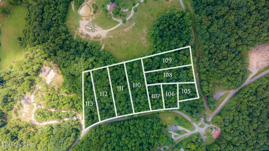 Lake Dr Lane, Lafollette, TN 37766 - #3