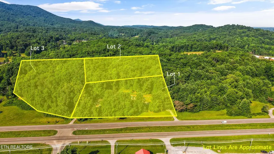 4532 E Lamar Alexander Pkwy, Walland, TN 37886 - #2