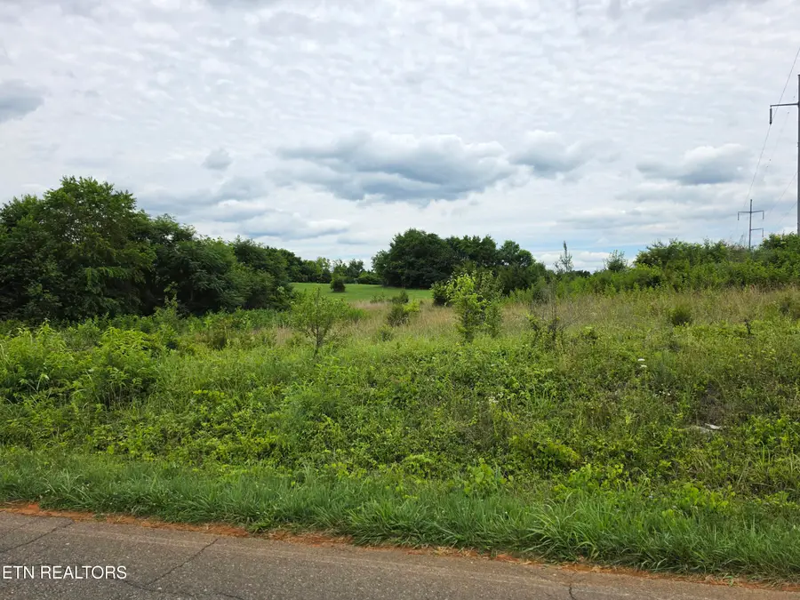 Baker Springs Rd, White Pine, TN 37890 - #2