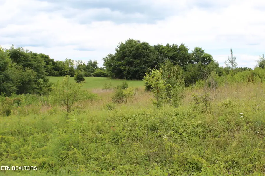 Baker Springs Rd, White Pine, TN 37890 - #3
