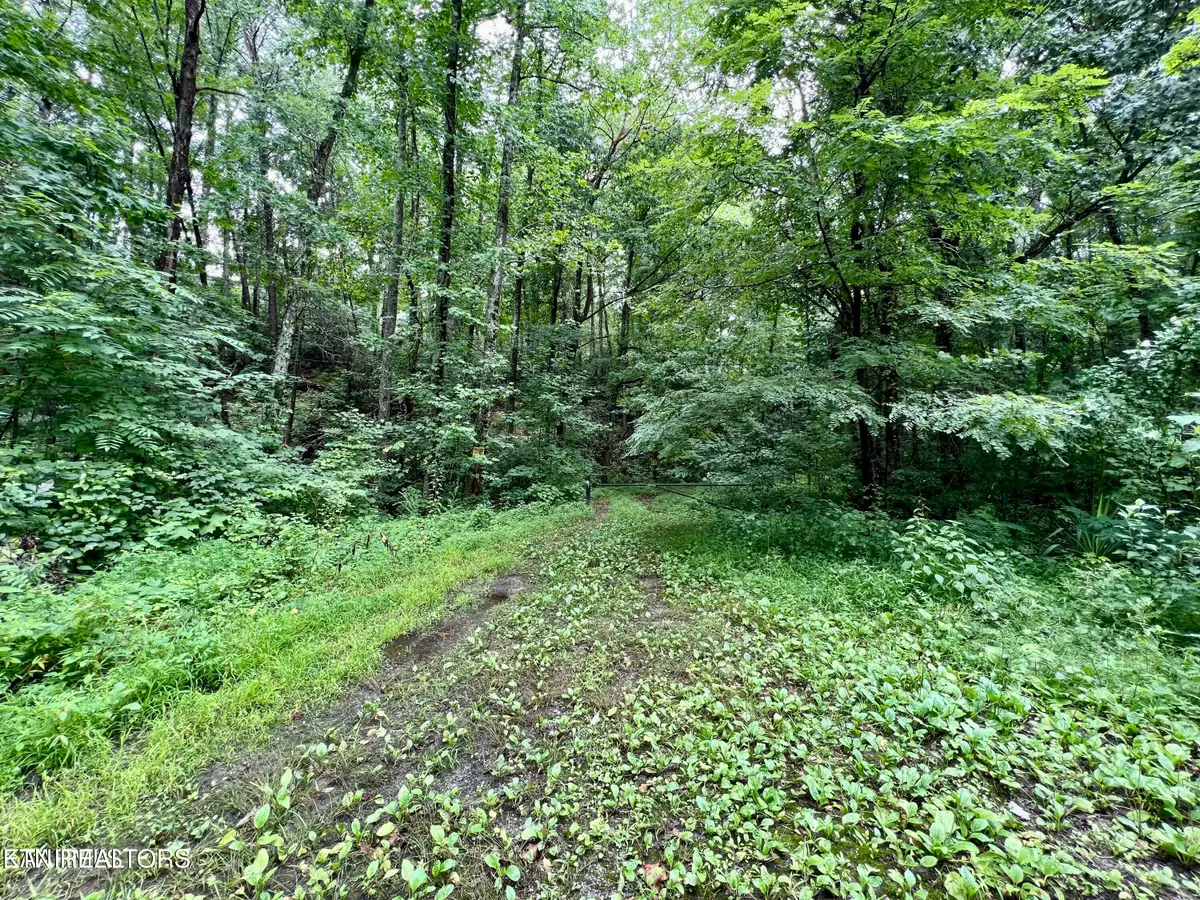 Sycamore St, Sevierville, TN 37876 - #1