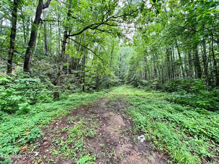 Sycamore St, Sevierville, TN 37876 - #2
