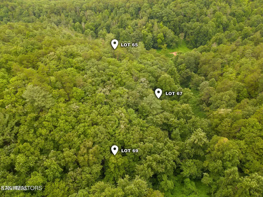 Azalea Tr, Sevierville, TN 37876 - #2