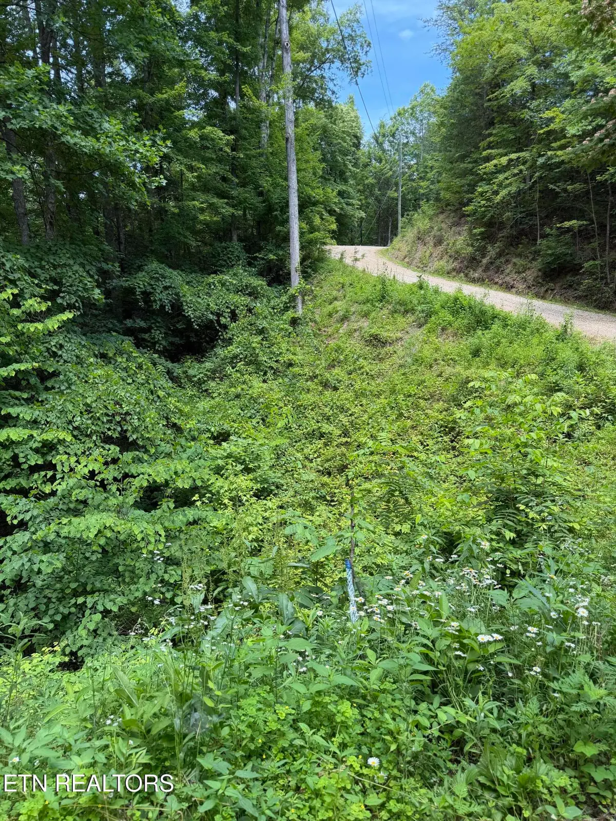 Butternut Lane, Sevierville, TN 37876 - #1