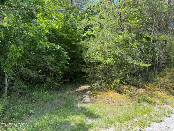 0 Mountain Shores Rd, Tazewell, TN 37879