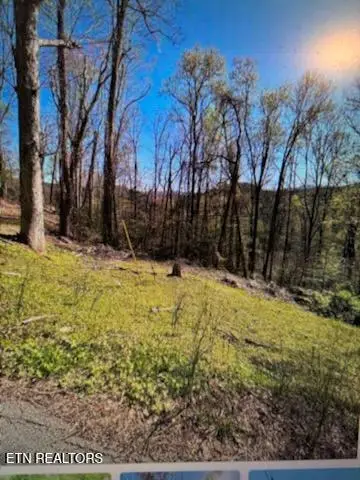 Esslinger Dr & Low Gap Rd, Gatlinburg, TN 37738 - #1