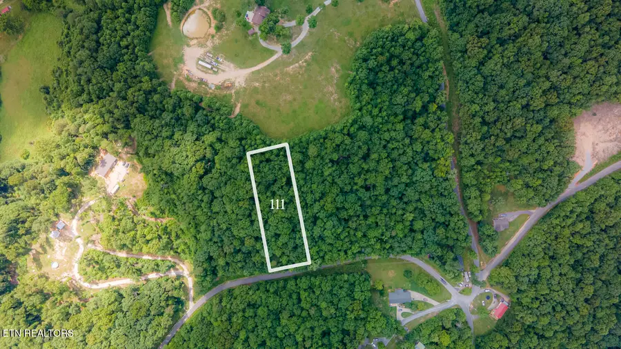 Lake Dr Lane, Lafollette, TN 37766 - #2