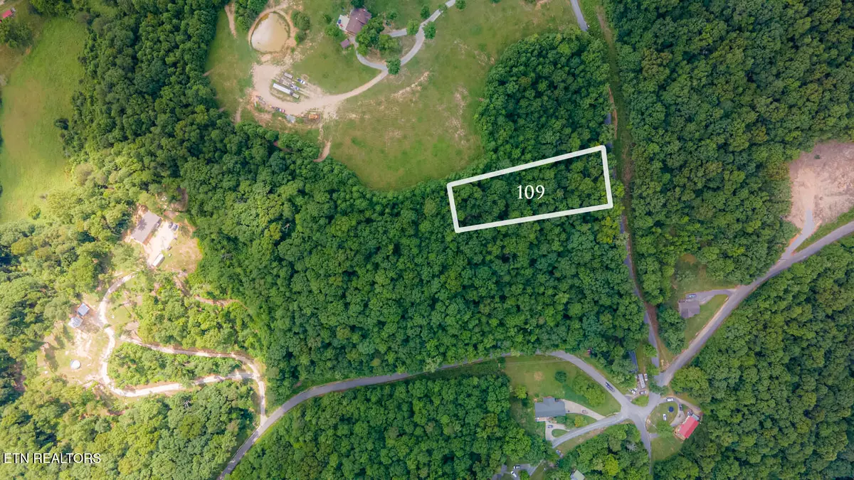 S Sudenny Lane, Lafollette, TN 37766 - #1