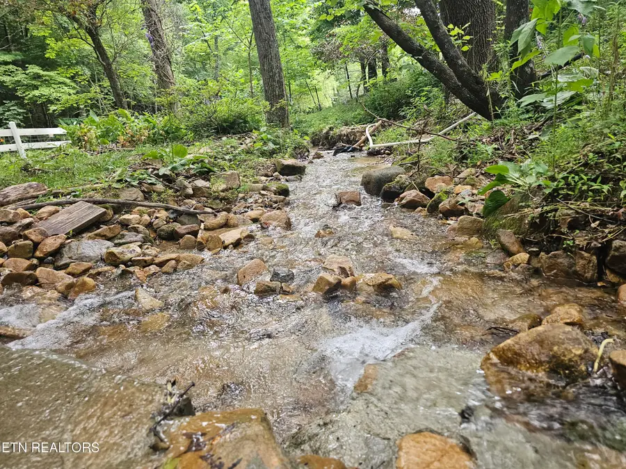 925 Tweed Springs Rd, Greeneville, TN 37743 - #3