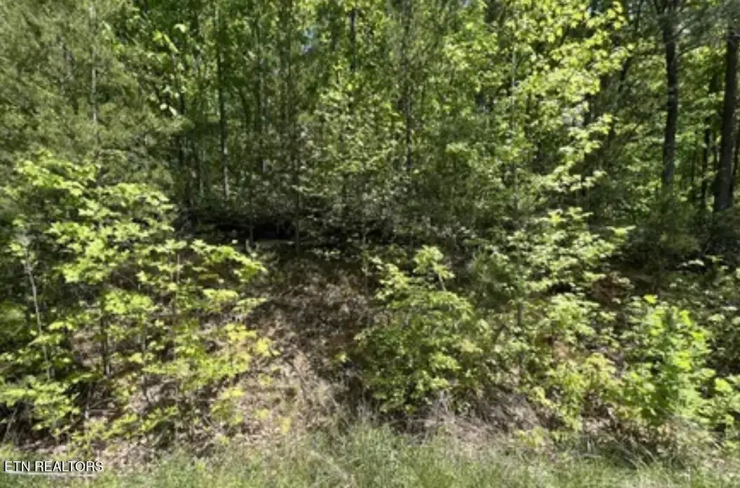 Lot 81 Yellowwood Drive, Sevierville, TN 37876 - #1
